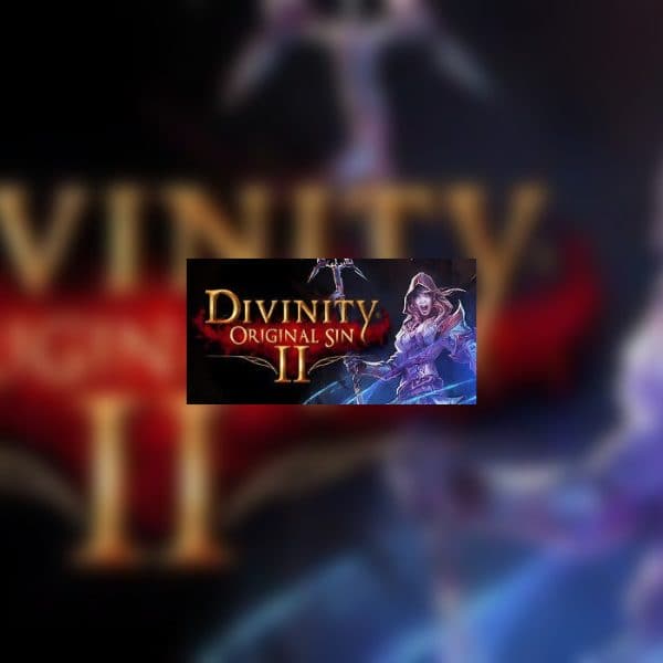 Divinity: Original Sin 2 Eternal Edition Steam Altergift